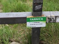 Wehikul 25 lat SKT (103)